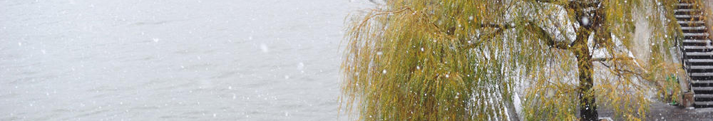 Kneipp-Verein Ingolstadt