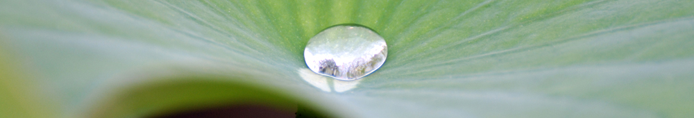 Kneipp-Verein Ingolstadt