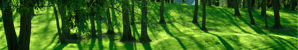 Kneipp-Verein Ingolstadt